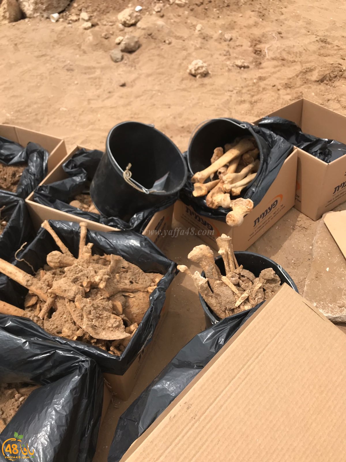 WhatsApp Image 2020-06-17 at 9.30.47 AM (2).jpeg.jpg.jpg